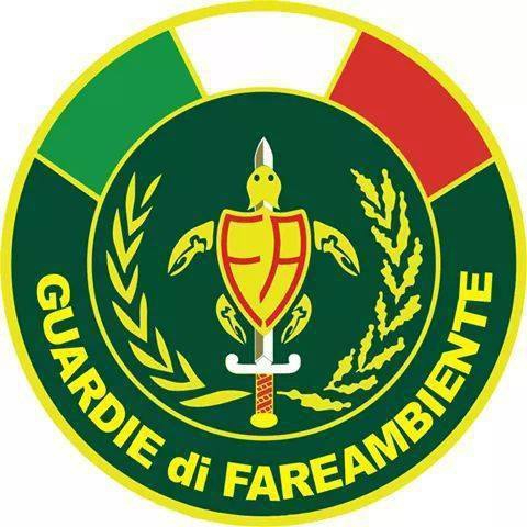 FARE AMBIENTE FARE AMBIENTE