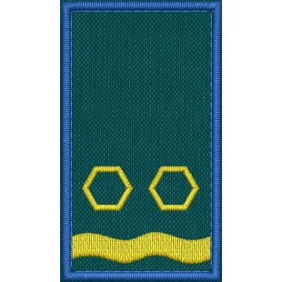 Patch Ricamata grado ( ruolo collab.Vice coordinatore Int. F2 ) base verde 