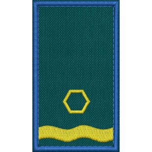 Patch Ricamata grado ( ruolo collab. sostituto coordinatore Int. F1 ) base verde  