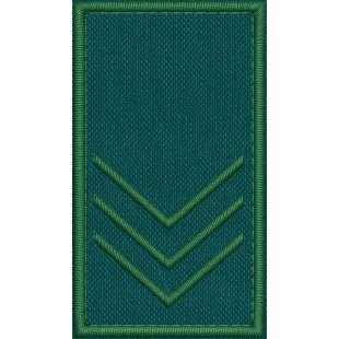 Patch Ricamata grado ( ruolo GUARDIA VOLONTARIA EFFETTIVA SUPERIORE G4 )
