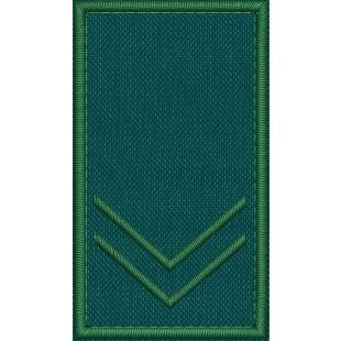 Patch Ricamata grado ( ruolo GUARDIA VOLONTARIA EFFETTIVA VICE COORD. G3 ) 