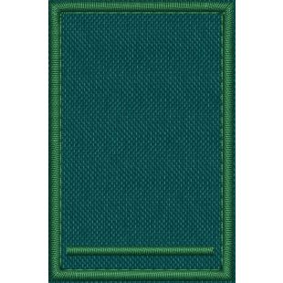 Patch Ricamata grado (allievo collaboratore tirocinante  T F1 ) base verde