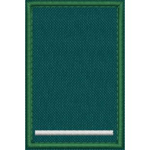 Patch Ricamata grado (allievo coordinatore tirocinante  T F2 ) base verde