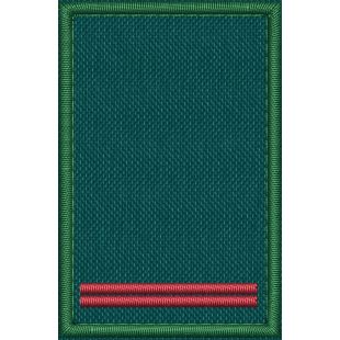 Patch Ricamata grado (allievo tirocinante  presidenza nazionali TD ) 