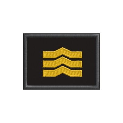 Patch ricamato 09. Grado AILCA – Coordinatore Superiore