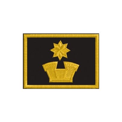 Patch ricamato 17. Grado AILCA – Vice Dirigente Aggiunto