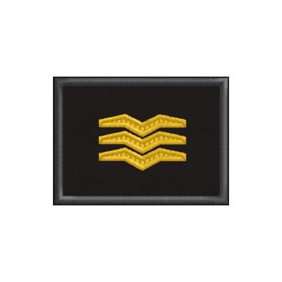 Patch ricamato 01. Grado AILCA – Guardia