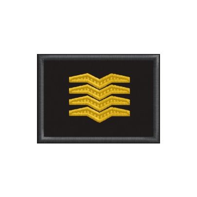 Patch ricamato 01. Grado AILCA – Guardia