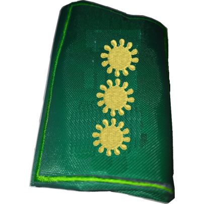 Mostrine tubolari da spalla Gradi (DIRETTORE AGGIUNTO) Cod. 2017NOR31