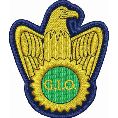 Patch ricamato con aquila in oro AGRIAMBIENTE G.I.O. su fondo VERDE cm. 7.5 x 6.1