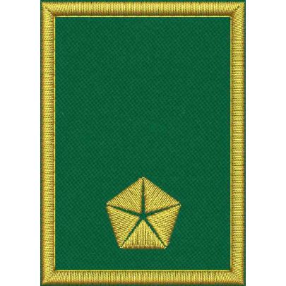 Mostrina ricamata cm. 7 x 5 su base VERDE con 1 stella dorata con bordo dorato