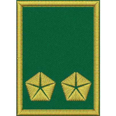 Mostrina ricamata cm. 7 x 5 su base VERDE con 2 stelle dorate e bordo dorato 