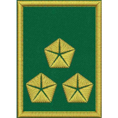 Mostrina ricamata cm. 7 x 5 su base VERDE con 3 stelle dorate e bordo dorato