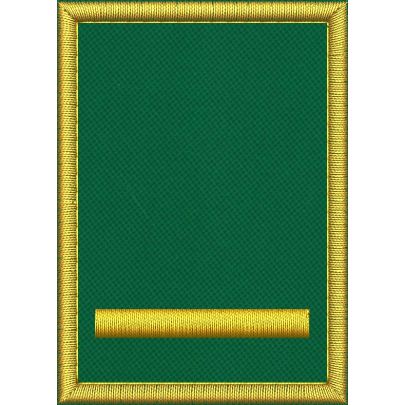 Mostrina ricamata cm. 7 x 5 su base VERDE grado sovrintendenza  con 1 barra dorata