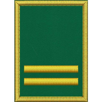 Mostrina ricamata cm. 7 x 5 su base VERDE grado sovrintendenza  con 1 barra dorata