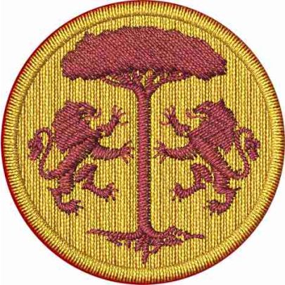 Patch tondo centrale ricamato mm.40 di diametro FOOTBALL CLUB RAVENNA 