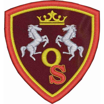 Scudetto ricamato su fondo granata (Orion Group Arezzo) 