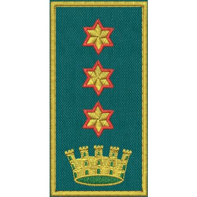Patch Ricamata C.E.N (Dirigente Sup. Comandante colonnello I.S.)  3 stelle bordo rosso CORONA VERDE 