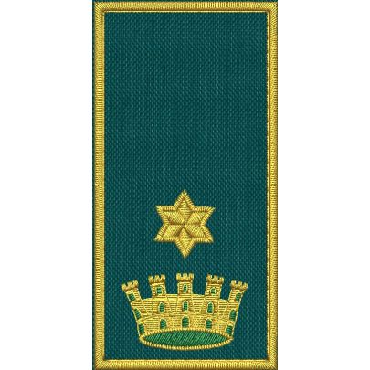 Patch Ricamata C.E.N (Referente incarico nazionale maggiore ) 1 stella dorata su base verde