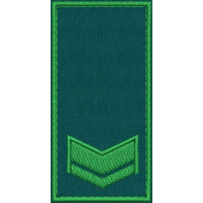Patch Ricamata RUOLO GRADUATI E GUARDIE EFFETTIVE ( 1 GALLONE ) base verde ricamo in verde cm. 8 x 4