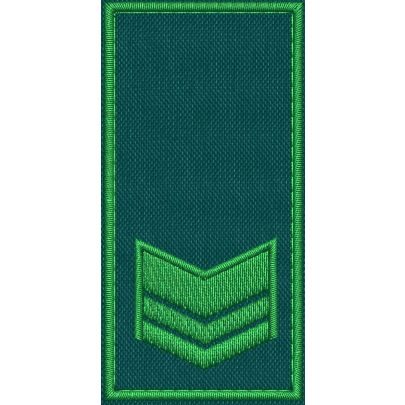 Patch Ricamata RUOLO GRADUATI E GUARDIE EFFETTIVE ( 2 GALLONI ) base verde ricamo in verde cm. 8 x 4 
