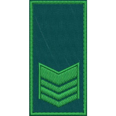 Patch Ricamata RUOLO GRADUATI E GUARDIE EFFETTIVE ( 2 GALLONI ) base verde ricamo in verde cm. 8 x 4 