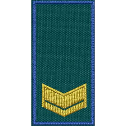 Patch Ricamata RUOLO FUNZIONARI COLLABORATORI ( 1 GALLONE ) base verde ricamo in giallo doratoe bordo Blu cm. 8 x 4