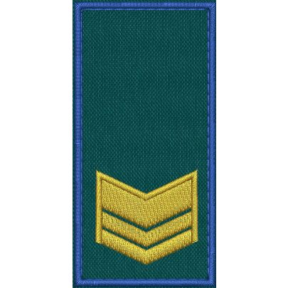 Patch Ricamata RUOLO FUNZIONARI COLLABORATORI ( 2 GALLONI ) base verde ricamo in giallo dorato bordo Blu