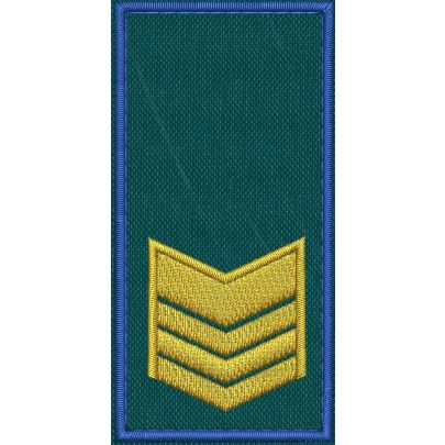 Patch Ricamata RUOLO FUNZIONARI COLLABORATORI ( 3 GALLONI ) base verde ricamo in giallo dorato bordo Blu