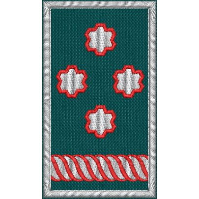 Patch Ricamata grado ( Presidente Nazionale Ruolo D18 ) base verde  cm. 7 x 4 