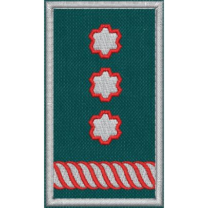 Patch Ricamata grado (Vice Presidente Nazionale Ruolo D17 )