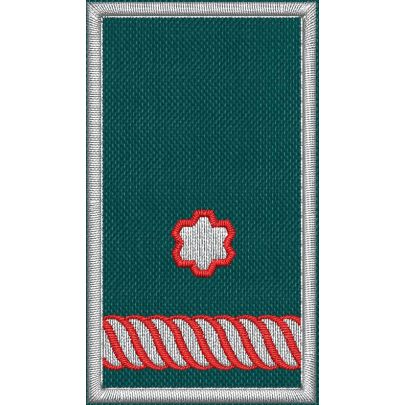Patch Ricamata grado (incarico ruolo  D15 )