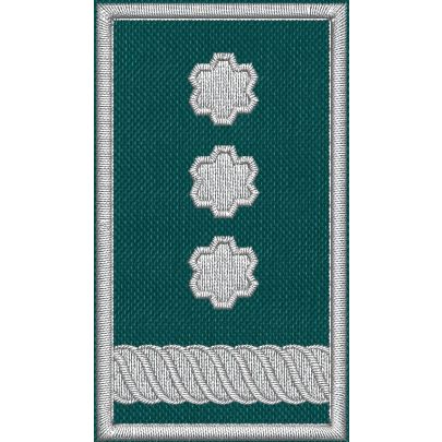 Patch Ricamata grado (incarico ruolo  D14 ) base verde  cm. 7 x 4 Cod. 20260734_A