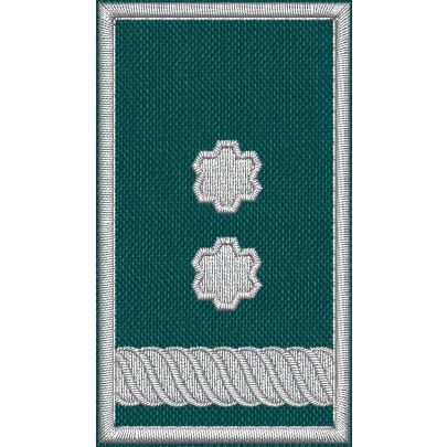 Patch Ricamata grado (Coordinamento sett_Nazionale incarico ruolo  D13 ) 