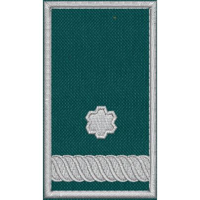 Patch Ricamata grado (Coordinamento sett_Nazionale incarico ruolo  D12 ) base verde  cm. 7 x 4 Cod. 20260736_A