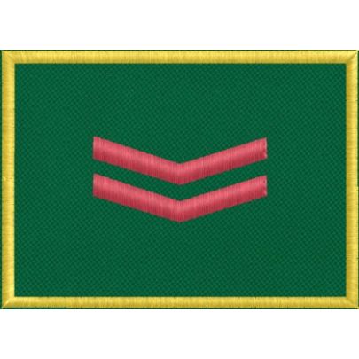 Mostrina G.A.D.I.T. 2 RIGA ROSSA mm.70 x 50 cod. Gad0002