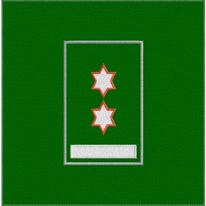 Gradi su fascia tubolare Grado J (Ispettore Nazionale Dirigente)