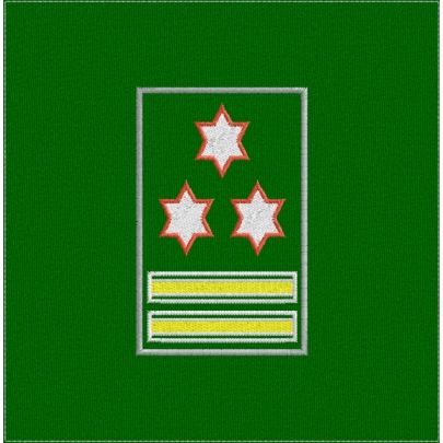 Gradi su fascia tubolare Grado N)Dirigente Generale comandante