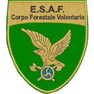 Stemma Ricamato ESAF Corpo forestale volontario Cod.20121125_A