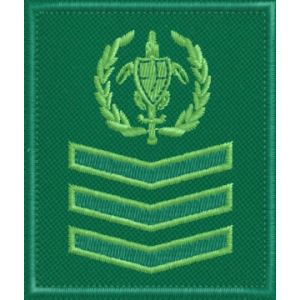 Patch quadrato ricamato logo FareAmbiente con 3 galloni VERDI cod.20200142_A