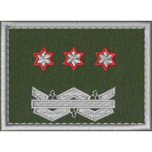 Patch Ricamata Corpo Ecoforestale Nazionale  base verde miltare, 3 stelle bordo rosso