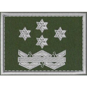 Patch Ricamata Corpo Ecoforestale Nazionale  base verde miltare, 4 stelle bordo argento