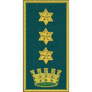 Patch Ricamata C.E.N (Coordinatore responsabile incarico nazionale colonnello)  3 stelle dorate su base verde 