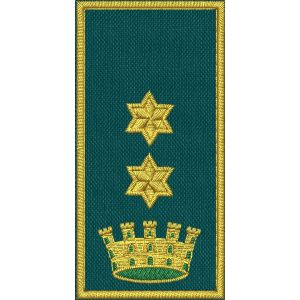 Patch Ricamata C.E.N (Vice Coord. settore Inc.Nazionale tenente colonnello ) 2 stelle dorate su base verde 