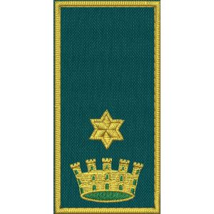 Patch Ricamata C.E.N (Referente incarico nazionale maggiore ) 1 stella dorata su base verde