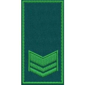 Patch Ricamata RUOLO GRADUATI E GUARDIE EFFETTIVE ( 2 GALLONI ) base verde ricamo in verde cm. 8 x 4 