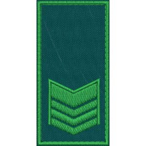 Patch Ricamata RUOLO GRADUATI E GUARDIE EFFETTIVE ( 2 GALLONI ) base verde ricamo in verde cm. 8 x 4 