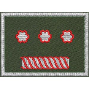 Patch Ricamata grado (Vice Presidente Nazionale Ruolo D17 )