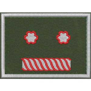 Patch Ricamata grado (Fondatori e altro incarico  D16 ) 
