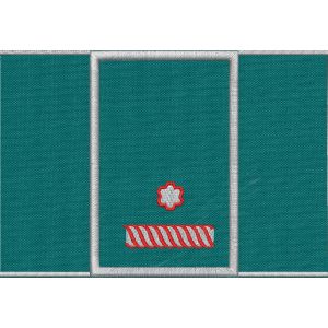 Tubolare ricamato Corpo Ecoforestale Nazionale base verde miltare, 1 stella argentate bordo rosso